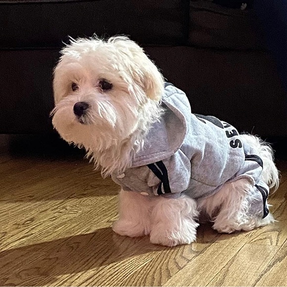 Other - Adidog pet dog cat puppy sweater shirt